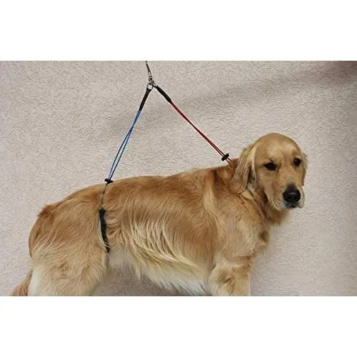 No Sit Pet Haunch Holder Dog Grooming Arm Restraint for Small, Medium and Large Dogs Durable