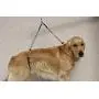 No Sit Pet Haunch Holder Dog Grooming Arm Restraint for Small, Medium and Large Dogs | Durable and Effective for Grooming Tables (Haunch Only, Large 21'' and 24'') No Sit Pet Haunch Holder Dog Grooming Arm Restraint for Small, Medium and Large Dogs | Durable and Effective for Grooming Tables (Haunch Only, Large 21'' and 24'')