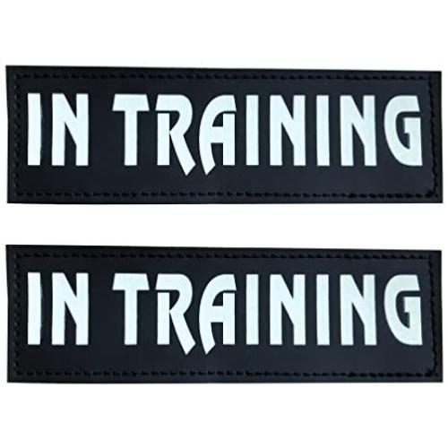 SGODA Service Dog Patch Pet Vest Harness, Large, 6”x2”, DO NOT PET, in Training, Therapy Dog