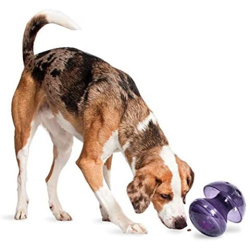 PetSafe Busy Buddy Magic Mushroom Dog Toy