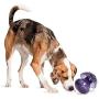 PetSafe Busy Buddy Magic Mushroom Dog Toy