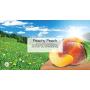 LITTLE TREES Car Air Freshener I Hanging Tree Provides Long Lasting Scent for Auto or Home I Peachy Peach, 24 Count, (4) 6-Packs