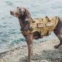 OneTigris Large Tactical Dog Harness and Dog Leash Set, No Pulling Adjustable Dog Vest Harness, Heavy Duty Dog Harness with Handle(Coyote Brown,M)