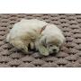 Rockport Rope 2030601 Super Duty Pet Mat, 20'' x 30'', Small, Tan