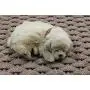 Rockport Rope 2030601 Super Duty Pet Mat, 20'' x 30'', Small, Tan