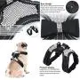 Rhinestone Bling Dog Harness and Pet Leash Reflective Bling Dog Vest with Bow Tie Adjustable Pet Rhinestone Harness for Small Dogs Walking Party Wedding (Black) Rhinestone Bling Dog Harness and Pet Leash Reflective Bling Dog Vest with Bow Tie Adjustable Pet Rhinestone Harness for Small Dogs Walking Party Wedding (Black)