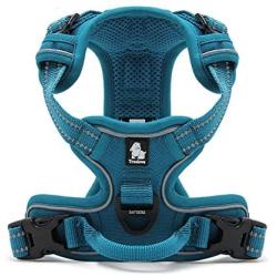 Adjustable No-Pull Dog Harness Reflective Pup Vest Harnesses Comfortable Control Brilliant Colors Truelove TLH5651(Blue,L)