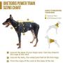 OneTigris Tactical Dog Training Vest Harness with Mesh Padding and Two Handles (Black, M / 41cm)