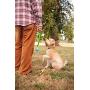 ChuckIt! Fetch Ball Medley Trio, Small, 3 Pack