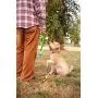 ChuckIt! Fetch Ball Medley Trio, Small, 3 Pack ChuckIt! Fetch Ball Medley Trio, Small, 3 Pack