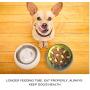 Lifeunion Dog Slower Feeder Bowl Spill-Proof Pet Tumbler Bowel to Slow Down Eating Interactive Puzzle Bloat Food Bowls for Dogs Cats