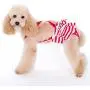 Alfie Pet - Charlotte Diaper Dog Sanitary Pantie with Suspender for Girl Dogs