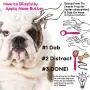 The Blissful Dog Nose Butter for Dry Dog Nose The Blissful Dog Nose Butter for Dry Dog Nose