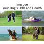 Professional Dog Training Equipment and Bonus - Giant Medium K9 Large Dog Training Tool - Dog Supplies - Real Physical and Emotional Load Your Dog - Puller Plus