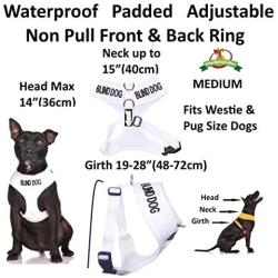 Blind Dog (Dog Has Limited/No Sight) White Color Coded Non-Pull Front and Back D Ring Padded and Waterproof Vest Dog Harness Prevents Accidents by Warning Others of Your Dog in Advance