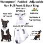 Blind Dog (Dog Has Limited/No Sight) White Color Coded Non-Pull Front and Back D Ring Padded and Waterproof Vest Dog Harness Prevents Accidents by Warning Others of Your Dog in Advance