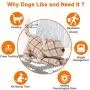 Dog Toy, Dog Squeak Toys, Chew Toy Pet Dog, Stuffed Toys for Dogs, Stuffing Squeaky Plush Dog Toy, Soft Shape Pet Toy, Dog Toys for Aggressive Chewers Medium Breed, Durable Dog Toy, Cat Dog Toy, Dog Squeak Toys, Chew Toy Pet Dog, Stuffed Toys for Dogs, Stuffing Squeaky Plush Dog Toy, Soft Shape Pet Toy, Dog Toys for Aggressive Chewers Medium Breed, Durable Dog Toy, Cat