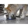 OurPets Premium DuraPet Dog Bowl