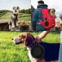 Meiliss Multifunctional Collapsible Silicone Bowl for Pets Retractable Travel Portable Water Bowl Frisbee Toy for Cats and Dogs (Random Color)