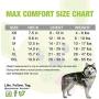 Dog Harness Adjustable No Pull Soft Padded Mesh Eco-Friendly No Choke Control Made for XS Small Medium Large XL Walking for Dogs and Puppies