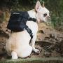 OneTigris Military Dog Collar and Dog Backpack Set, Small Tactical Dog Harness for Camping Walking(Black)