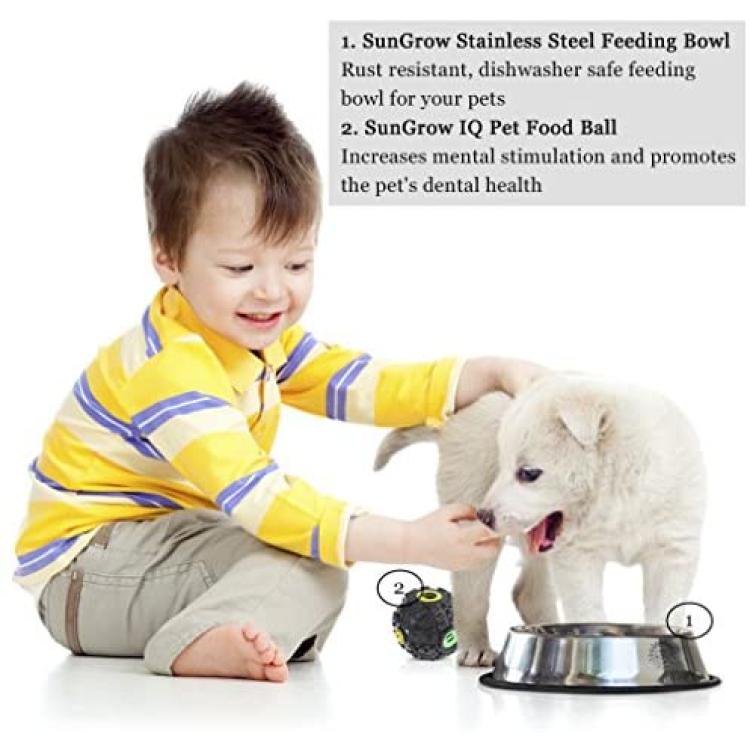 SUNGROW No Spill Stainless Steel Large Dog Water & Food Bowl with Non-Slip  Rubber Base, 64-oz 