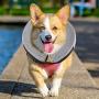 WANTRYAPET Protective Inflatable Collar, Inflatable Comfy Cone for Dogs and Cats, Soft Dog Cone After Surgery Pet Recovery Collar Prevent Dogs from Biting & Scratching