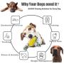 HagieNu Dog Toothbrush Chew Toys Dog Teeth Cleaning Puppy Dental Care Brushing Stick Dog Chew Bones Bite for Dogs Oral Care