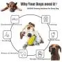 HagieNu Dog Toothbrush Chew Toys Dog Teeth Cleaning Puppy Dental Care Brushing Stick Dog Chew Bones Bite for Dogs Oral Care HagieNu Dog Toothbrush Chew Toys Dog Teeth Cleaning Puppy Dental Care Brushing Stick Dog Chew Bones Bite for Dogs Oral Care