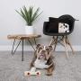 Nylabone Power Chew Knuckle Bone & Pop-in Treat Toy Combo