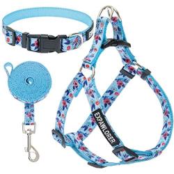 EXPAWLORER No Pull Dog Harness and Leash Set with Collar - Heavy Duty & Adjustable Basic Harness for Small Medium Dogs & Cats