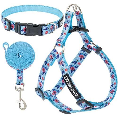 EXPAWLORER No Pull Dog Harness and Leash Set with Collar - Heavy Duty & Adjustable Basic Harness for Small Medium Dogs & Cats