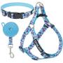 EXPAWLORER No Pull Dog Harness and Leash Set with Collar - Heavy Duty & Adjustable Basic Harness for Small Medium Dogs & Cats