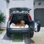 Precision Pet SnooZZy Original Fleece Crate Donut Dog Bed Size: Extra Small (18'' L x 12'' W)