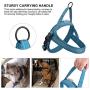 Creation Core Adjustable Dog Harness Mesh Padded Breathable Reflective Nylon Pet Vest Easy to Walk, Blue XXS