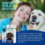 Dr. Brite Pet Pure Teeth and Gum Cleaning Pen (0.067 Fl Oz) Sweet Parsley