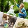 Pet Dogs Cotton Rope Chew Toys Interactive Tug of War Ball Toys for Puppies Teething Clean Aggressive Chewers 3 in 1 Set … Pet Dogs Cotton Rope Chew Toys Interactive Tug of War Ball Toys for Puppies Teething Clean Aggressive Chewers 3 in 1 Set …