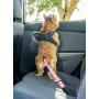 2PET Dog Seatbelt Strap Adjustable Dog Seat Belt for All for All Dog Breeds & Sizes Universal Dog Seat Belts Fit Seatbelt Latches of All Car Makes – 21” to 32” Dog Seatbelt - 2 Pack Choose Color