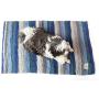 Botanical Pets Premium Dog and Cat Scratcher Mat Grey Blue (Large) Eco-Friendly Made with Natural Vegetable Fiber That Dogs, Kittens and Cats Love.