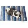 Botanical Pets Premium Dog and Cat Scratcher Mat Grey Blue (Large) Eco-Friendly Made with Natural Vegetable Fiber That Dogs, Kittens and Cats Love. Botanical Pets Premium Dog and Cat Scratcher Mat Grey Blue (Large) Eco-Friendly Made with Natural Vegetable Fiber That Dogs, Kittens and Cats Love.