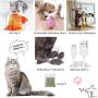 HI NINGER Electric Floppy Fish Cat Toy 4 Pieces for Indoor Playing Fun Cat Play Toy, Cat Toys for Indoor Cat Dog-Imitation Mouse, Catnip, Cat Teaser Stick