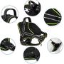 Golener Dog Harness No Pull, Reflective Puppy Harness with Led Light, Adjustable Dog Vest Harness, Soft Breathable Oxford Stylish Pet Harnesses with Easy Control Handle for Small/Medium/Large Dogs