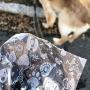 Pet Waste Bags, Thick Strong Unscented Dog Poop Bags, 180ct Pet Waste Bags, Thick Strong Unscented Dog Poop Bags, 180ct