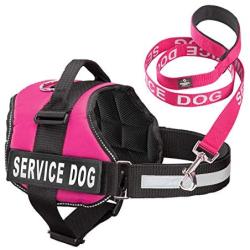 Industrial Puppy Service Dog Vest with Hook and Loop Straps & Matching Service Dog Leash Set - Harnesses from XXS to XXL - Service Dog Harness Features Reflective Patch and Comfortable Mesh Design