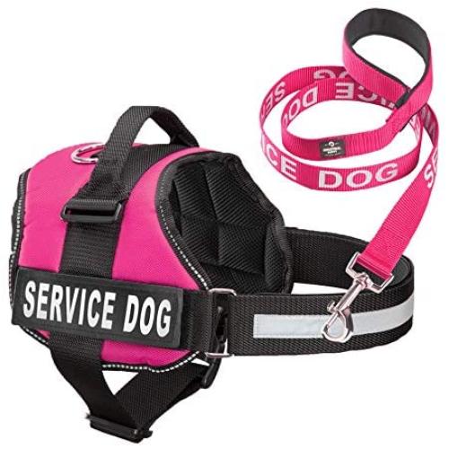 Industrial Puppy Service Dog Vest with Hook and Loop Straps & Matching Service Dog Leash Set - Harnesses from XXS to XXL - Service Dog Harness Features Reflective Patch and Comfortable Mesh Design