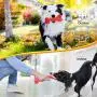 Dog Chew Toys for Aggressive Chewers Large Breed Tough Toothbrush Bone for Medium Large Dogs Indestructible Rubber Tug Sticks for Puppy Teeth Cleaning Dental Oral Care Puzzle Toys for Dog Gifts (S) Dog Chew Toys for Aggressive Chewers Large Breed Tough Toothbrush Bone for Medium Large Dogs Indestructible Rubber Tug Sticks for Puppy Teeth Cleaning Dental Oral Care Puzzle Toys for Dog Gifts (S)