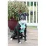 Reversible Harness- The Great Outdogs (Small)