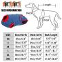 QBLEEV Recovery Suit for Dogs After Surgery, Alternative E-Collars Bandages, Professional Surgical Pet Wear Shirts for Abdominal Wounds and Skin Diseases…