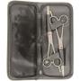 ShearsDirect Straight and Curved, Serated Blade, Professional Shear, 6.5-Inch, Set of 2