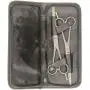ShearsDirect Straight and Curved, Serated Blade, Professional Shear, 6.5-Inch, Set of 2